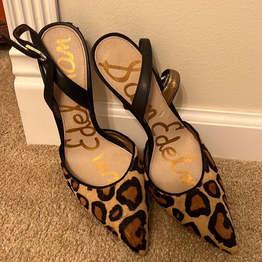 Sam Edelman calf for pointy toe pump